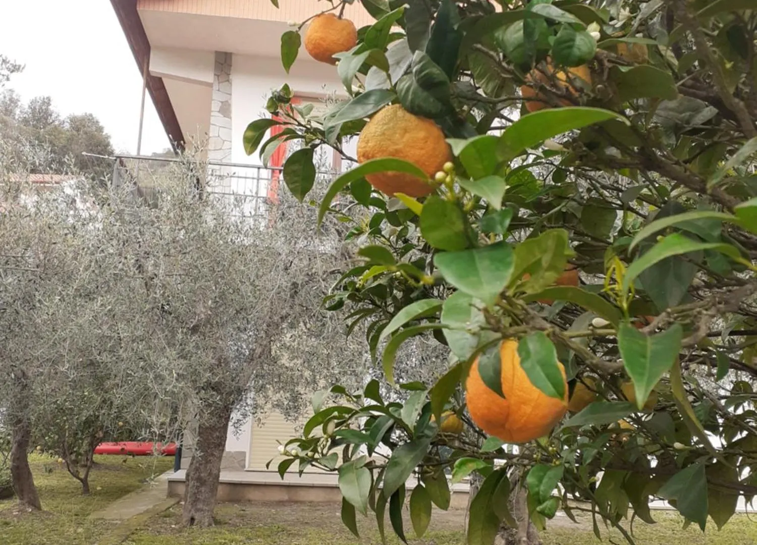 Casetta Al Mare Giustenice Holiday home